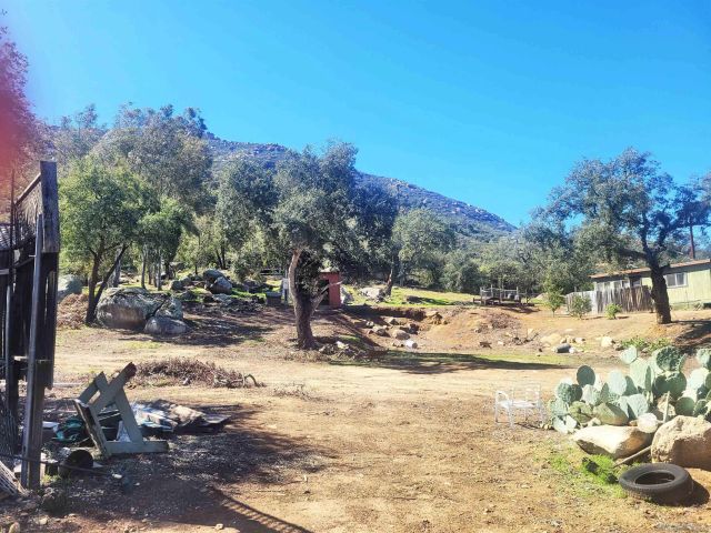 a view of a yard with trees in the background
