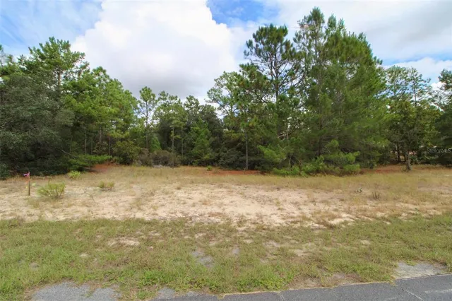 a view of a yard with a tree
