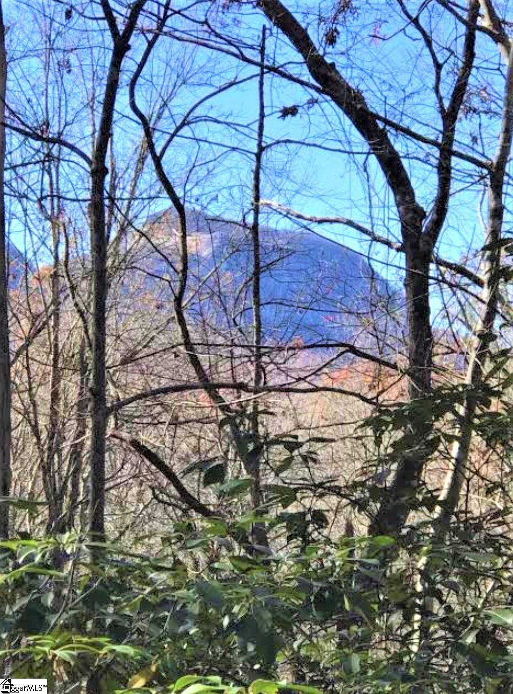 2 Table Rock Road Cleveland, SC 29635 - Photo 1 of 2