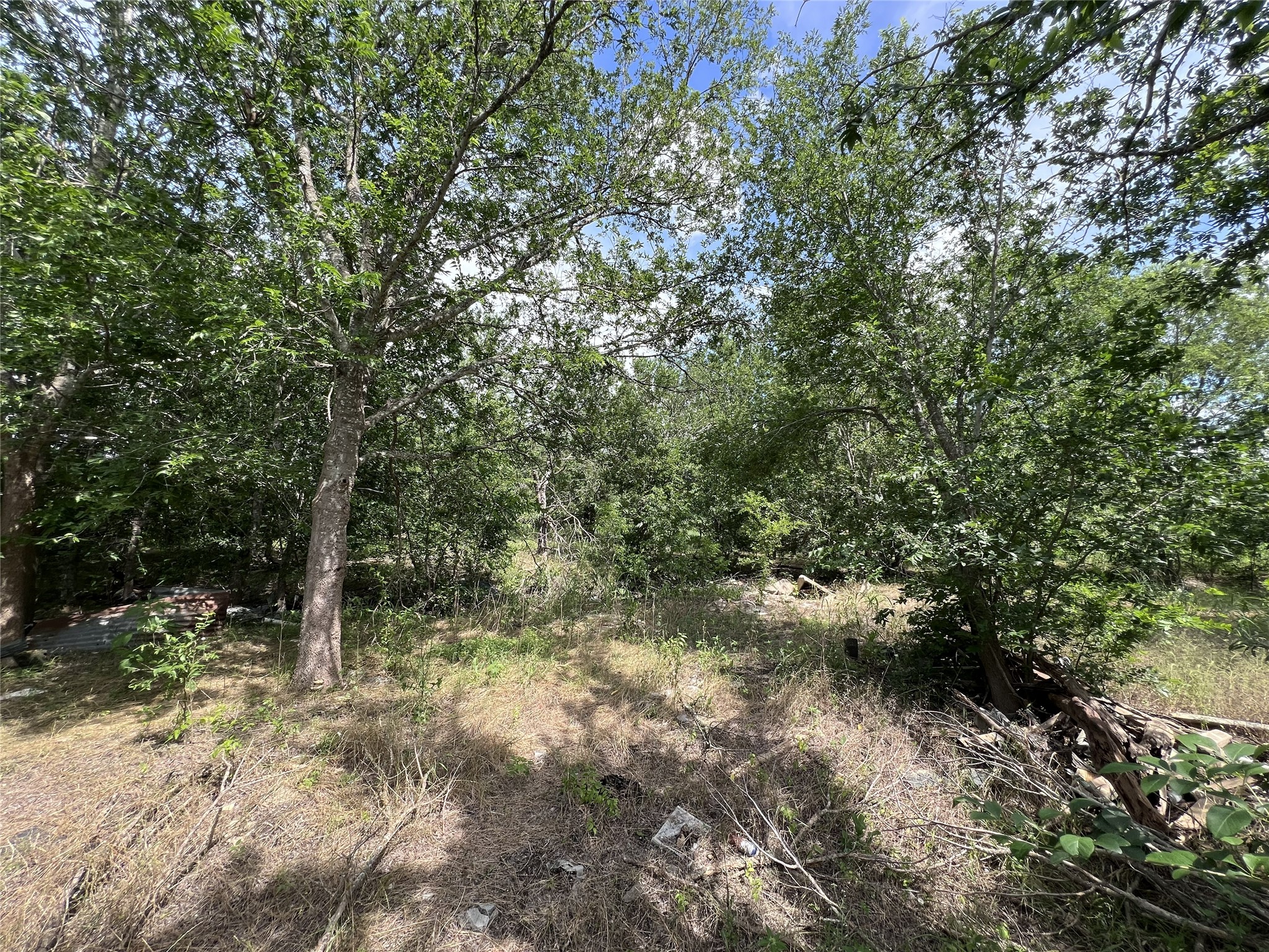 10001 Peterson Road Del Valle, TX 78617 - Photo 27 of 29 a view of forest