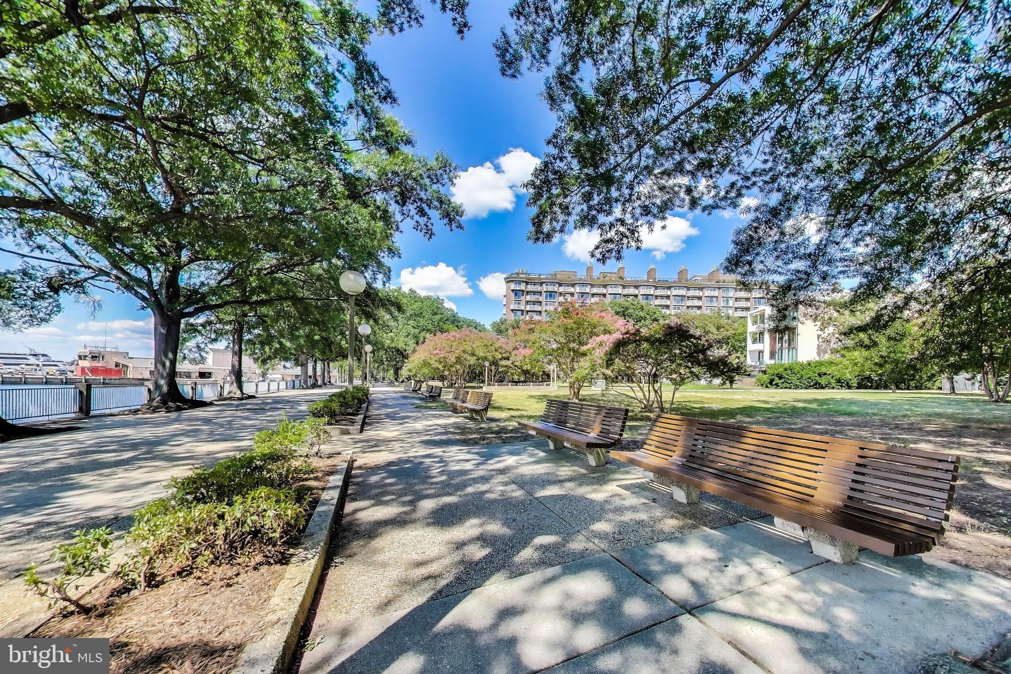 1435 4th Street Southwest, Unit B609 Washington, DC 20024 - Photo 25 of 28 a view of a park with large trees
