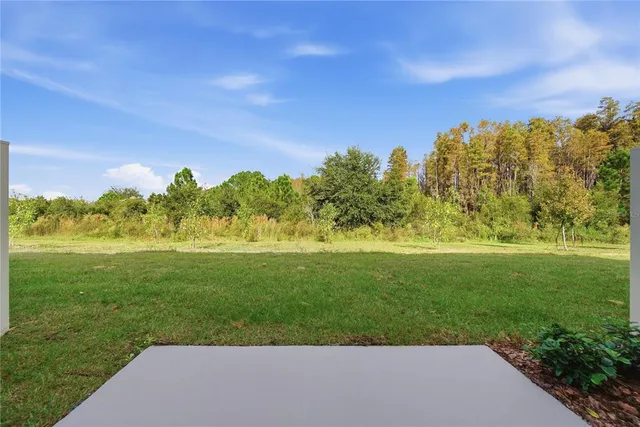 a view of a big yard with a large trees