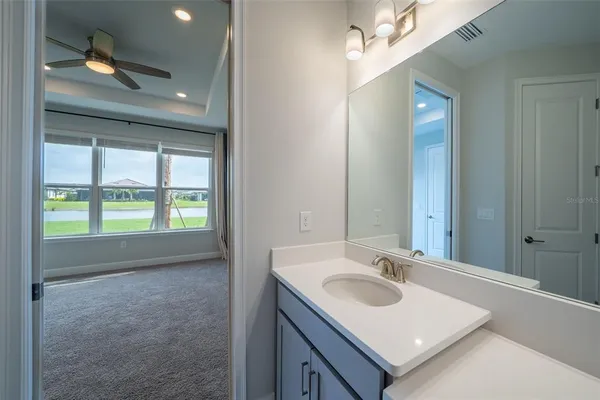 a view of a garden from a window