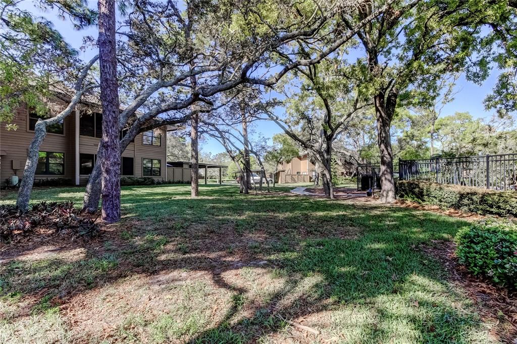 1407 Lennox Road East, Unit 1407 Palm Harbor, FL 34683 - Photo 42 of 48 a view of a tree in front of a house