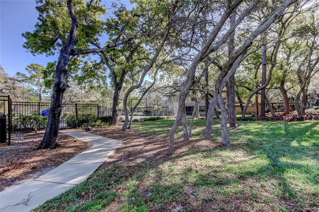 1407 Lennox Road East, Unit 1407 Palm Harbor, FL 34683 - Photo 44 of 48 a view of a tree in the park
