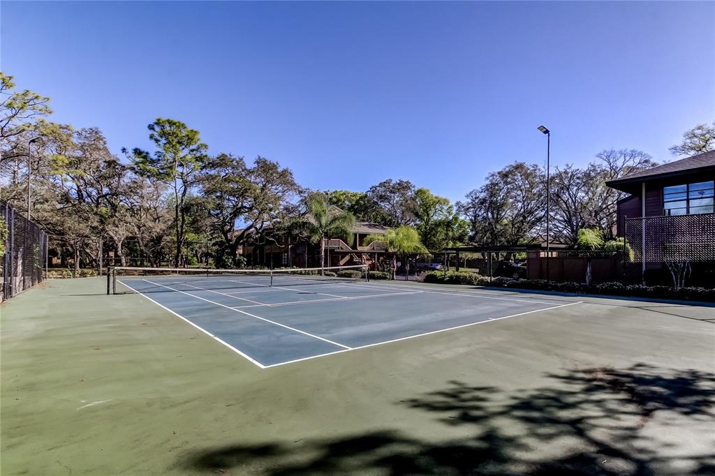 1407 Lennox Road East, Unit 1407 Palm Harbor, FL 34683 - Photo 48 of 48 a view of a tennis court