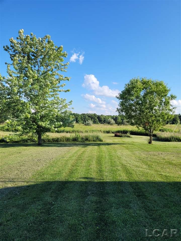 12777 Plank Road Clayton, MI 49235 - Photo 11 of 24