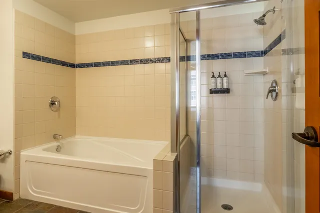 a bathroom with a bathtub and a shower