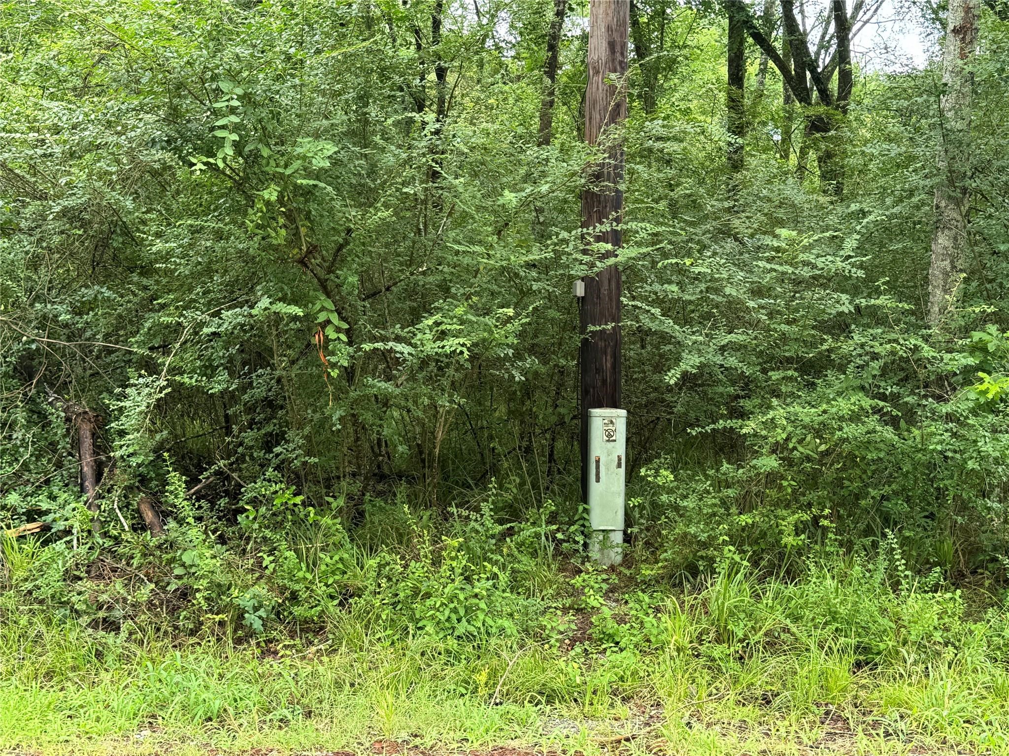 Tract B Lake Road Huntsville, TX 77320 - Photo 11 of 11 Come experience life in a town of 510 people! You're going to LOVE IT!
