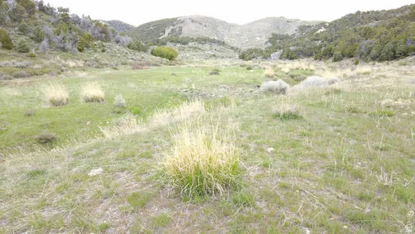 $6,600,000 | North Clear Spgs Road, Park Valley, UT 84329