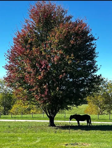 $249,900 | 11882 Clovis Pickett Road, Vevay, IN 47043