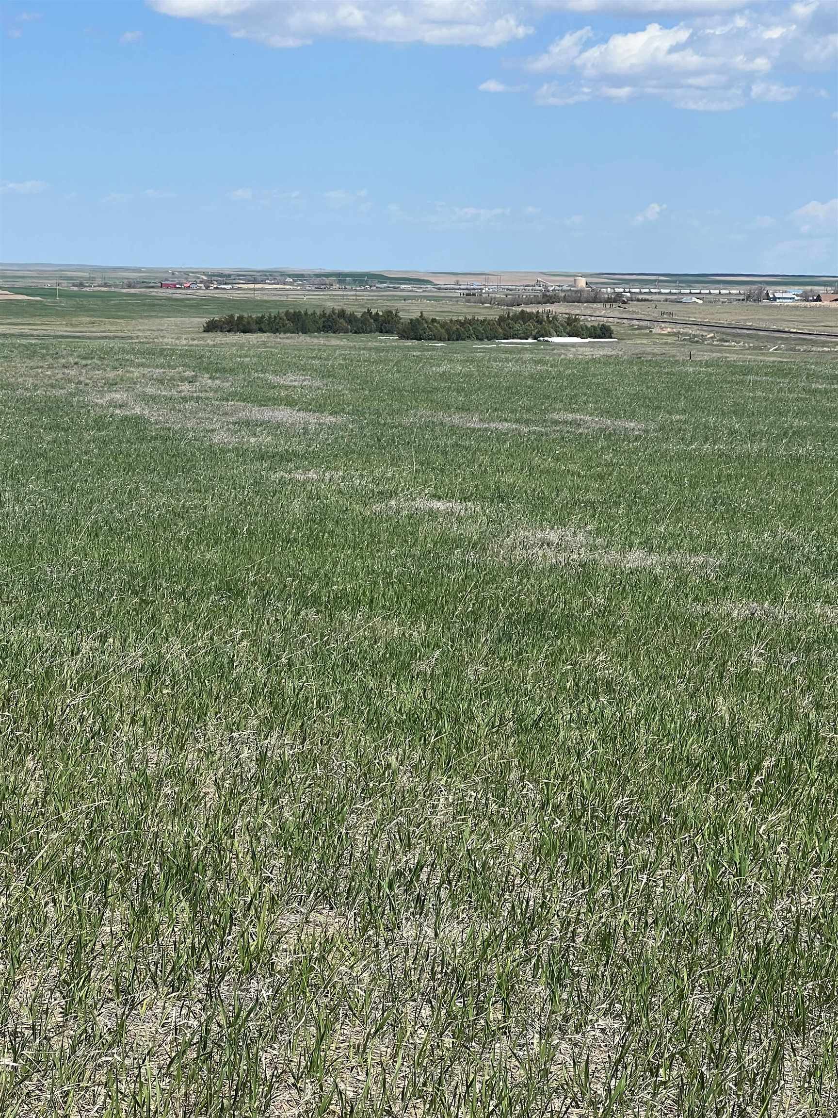 4686 Road 37 Yoder, WY 82244 - Photo 17 of 22