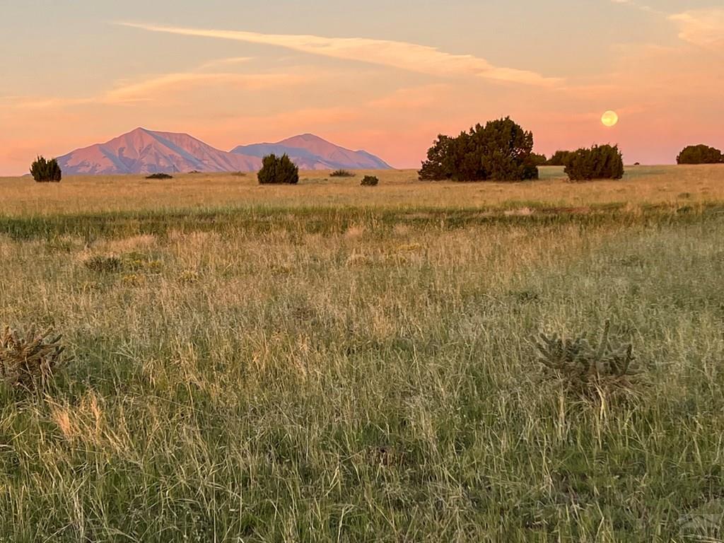 1771 Sunrise Road Walsenburg, CO 81089 - Photo 36 of 38
