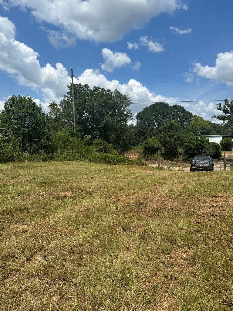 0 Thomley Road Newton, AL 36352 - Photo 5 of 8