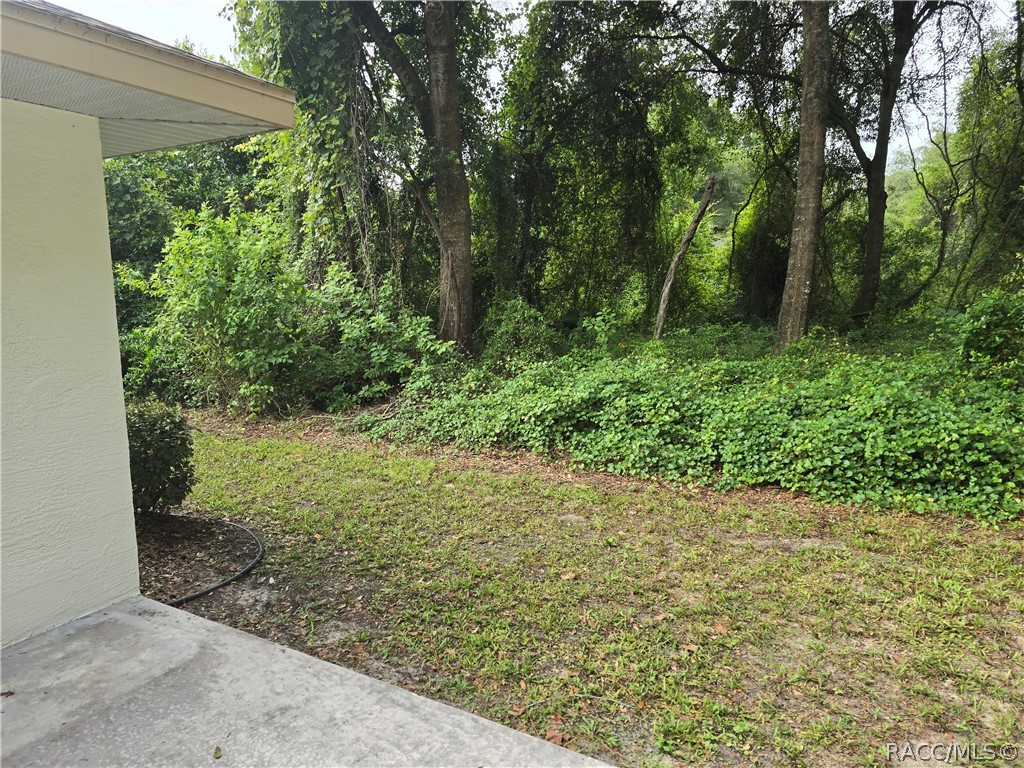 292 North Fitzpatrick Avenue Inverness, FL 34453 - Photo 22 of 24