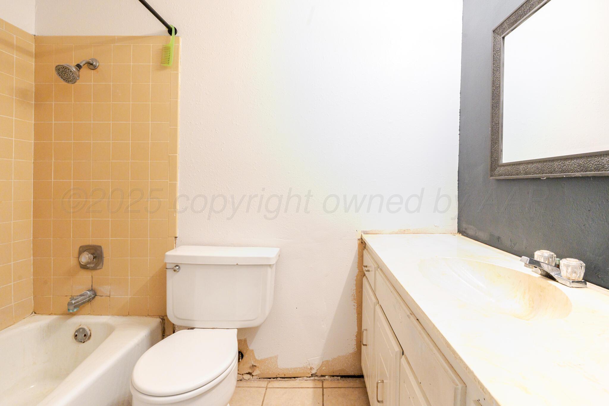 5210 South Milam Street Amarillo, TX 79110 - Photo 20 of 22 a bathroom with a sink a toilet and shower