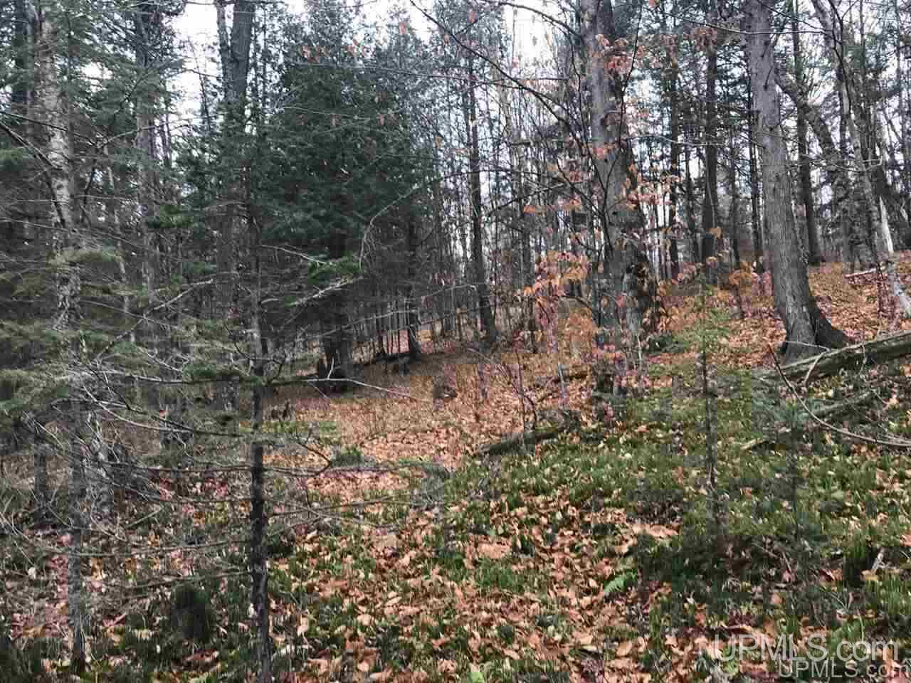 Tbd Off River Road, Unit 2 Hermansville, MI 49847 - Photo 3 of 34