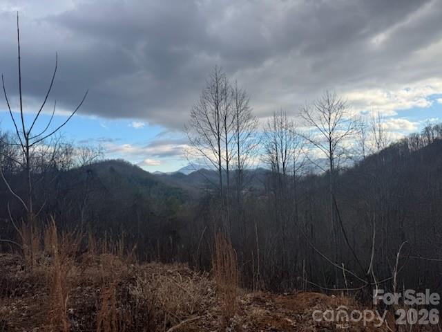 151 Thunderstruck Ridge Burnsville, NC 28714 - Photo 4 of 13 a view of mountain view with tall trees