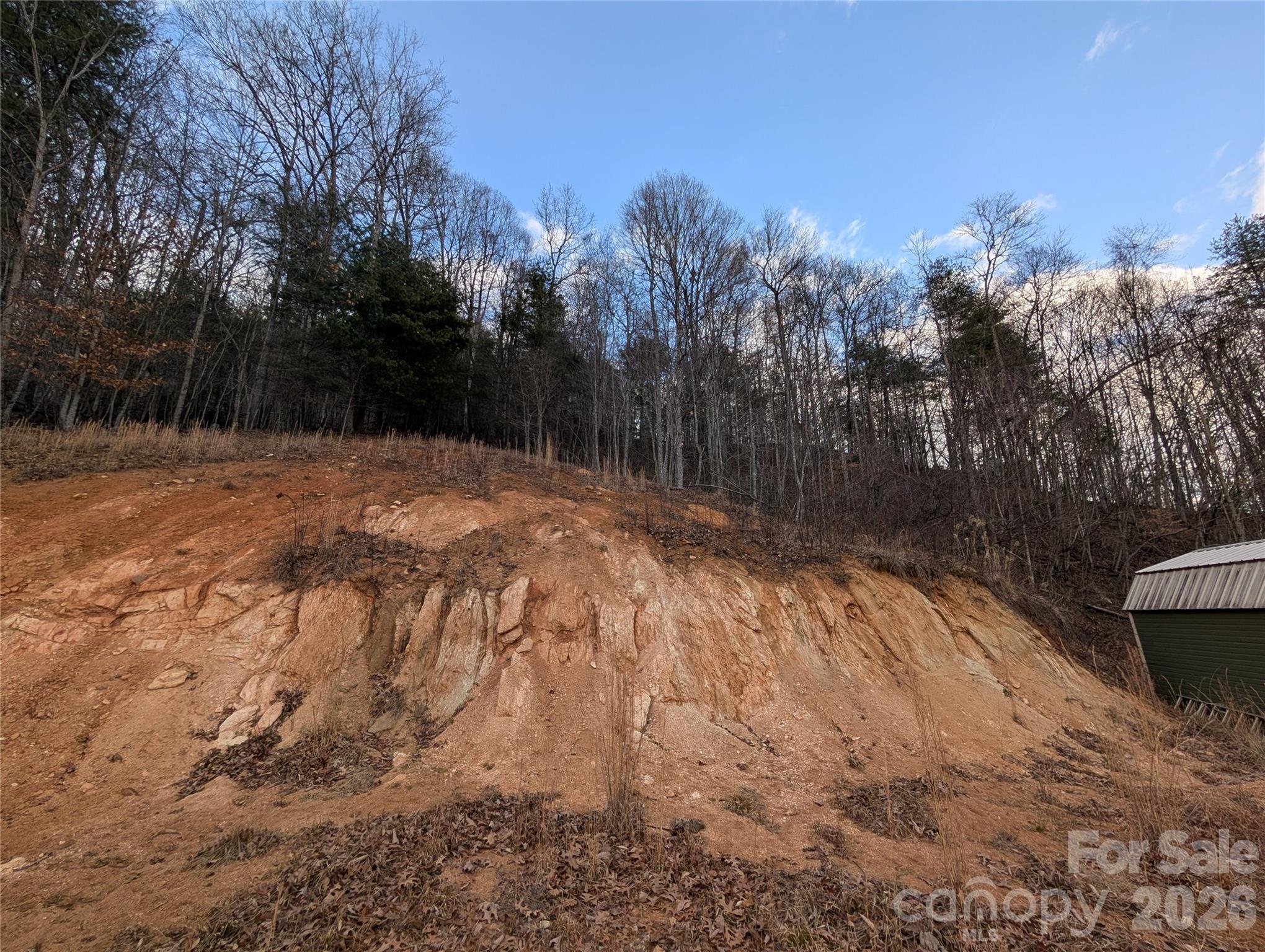 151 Thunderstruck Ridge Burnsville, NC 28714 - Photo 5 of 13 a view of empty yard with trees