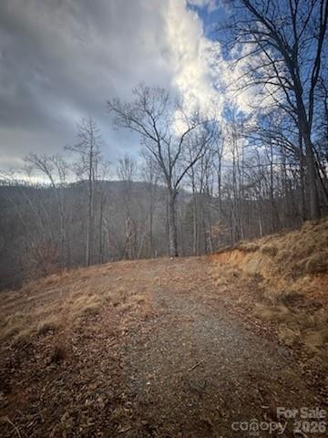 151 Thunderstruck Ridge Burnsville, NC 28714 - Photo 8 of 13 a backyard of a house