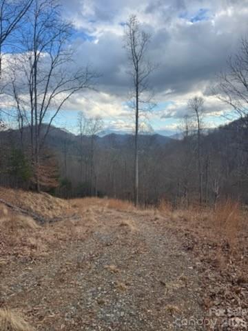 151 Thunderstruck Ridge Burnsville, NC 28714 - Photo 9 of 13 a bathroom with a shower