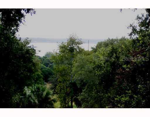 Virginia Anne Ln Mount Mount Dora, FL 32757 - Photo 1 of 1 View