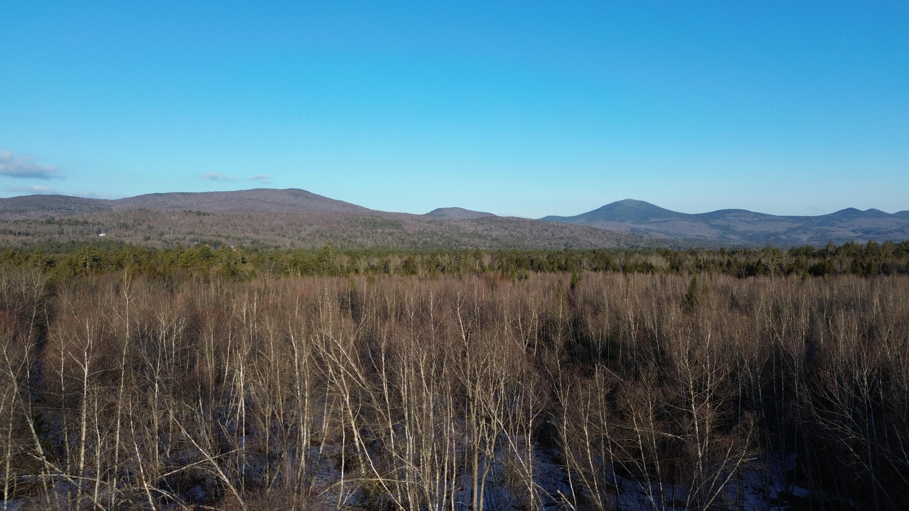 Map13-lot11 Field View Road Fryeburg, ME 04037 - Photo 11 of 37