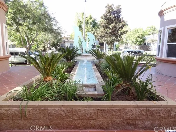 a view of a garden with plants