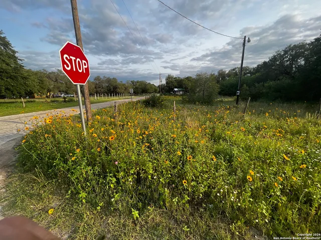 a view of a yard with swimming pool and trees