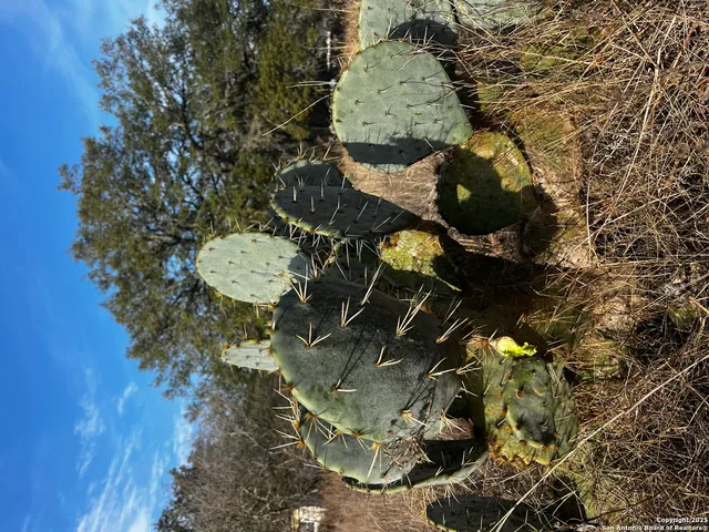 $75,000 | Lot 28 Mariposa Drive, Poteet, TX 78065