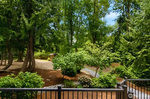 a view of a road with plants and large trees
