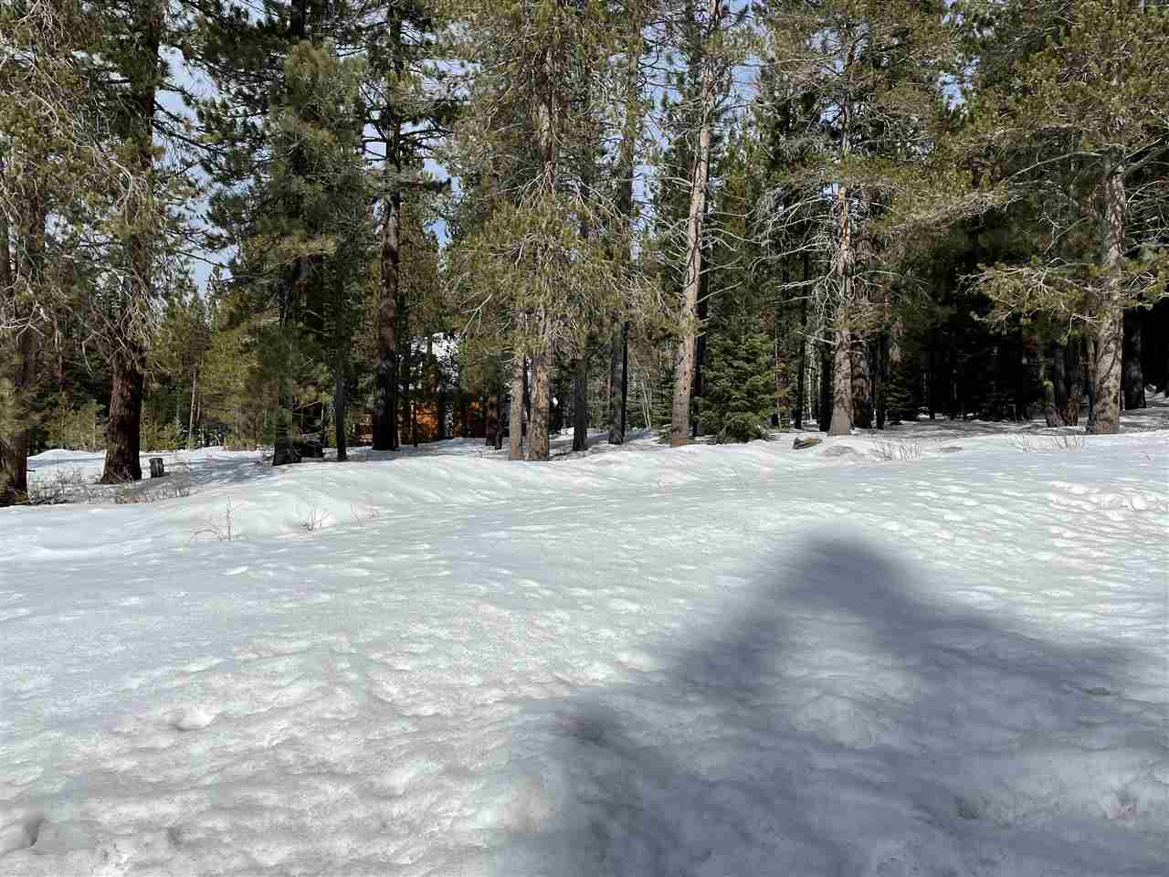 11217 Bennett Flat Road Truckee, CA 96161 - Photo 15 of 21 Gallery Image 15