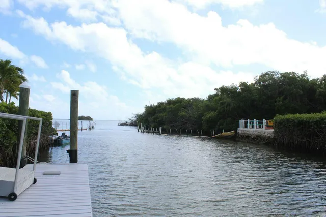 a view of a water with boats and trees in the background