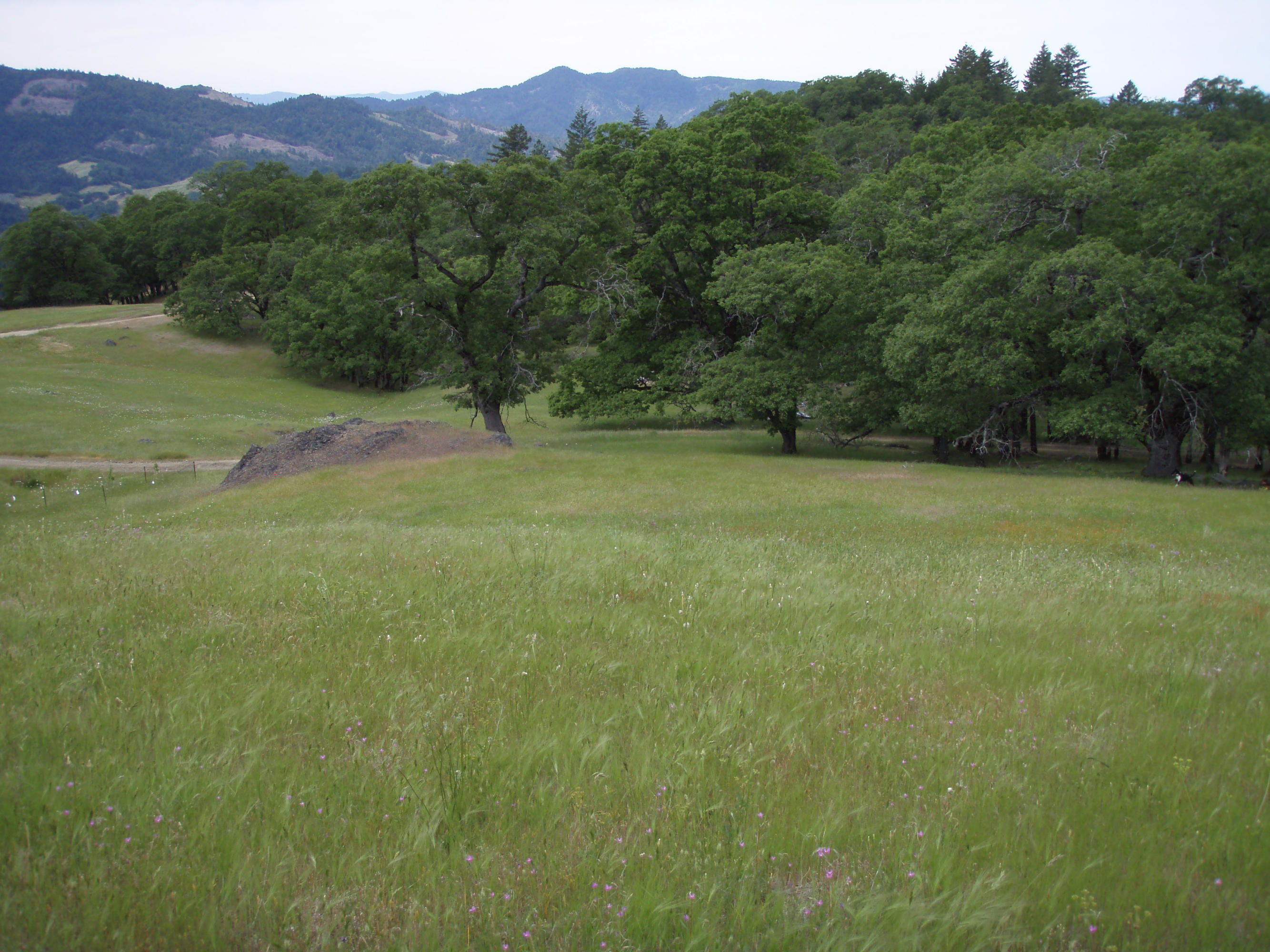 4750 Burr Valley Road Bridgeville, CA 95526 - Photo 29 of 52