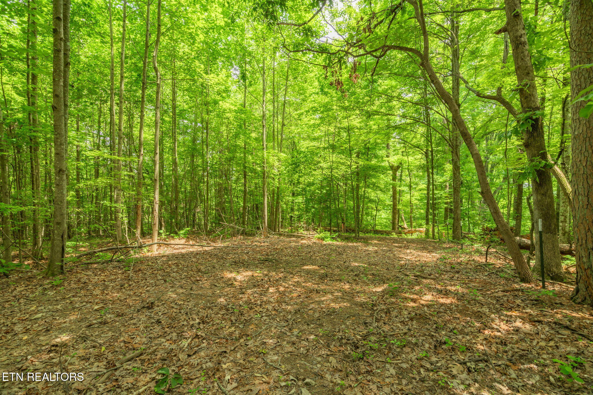 2 Black Oak Road Clinton, TN 37716 - Photo 6 of 16 12-web-or-mls-Black Oak Road Land-13