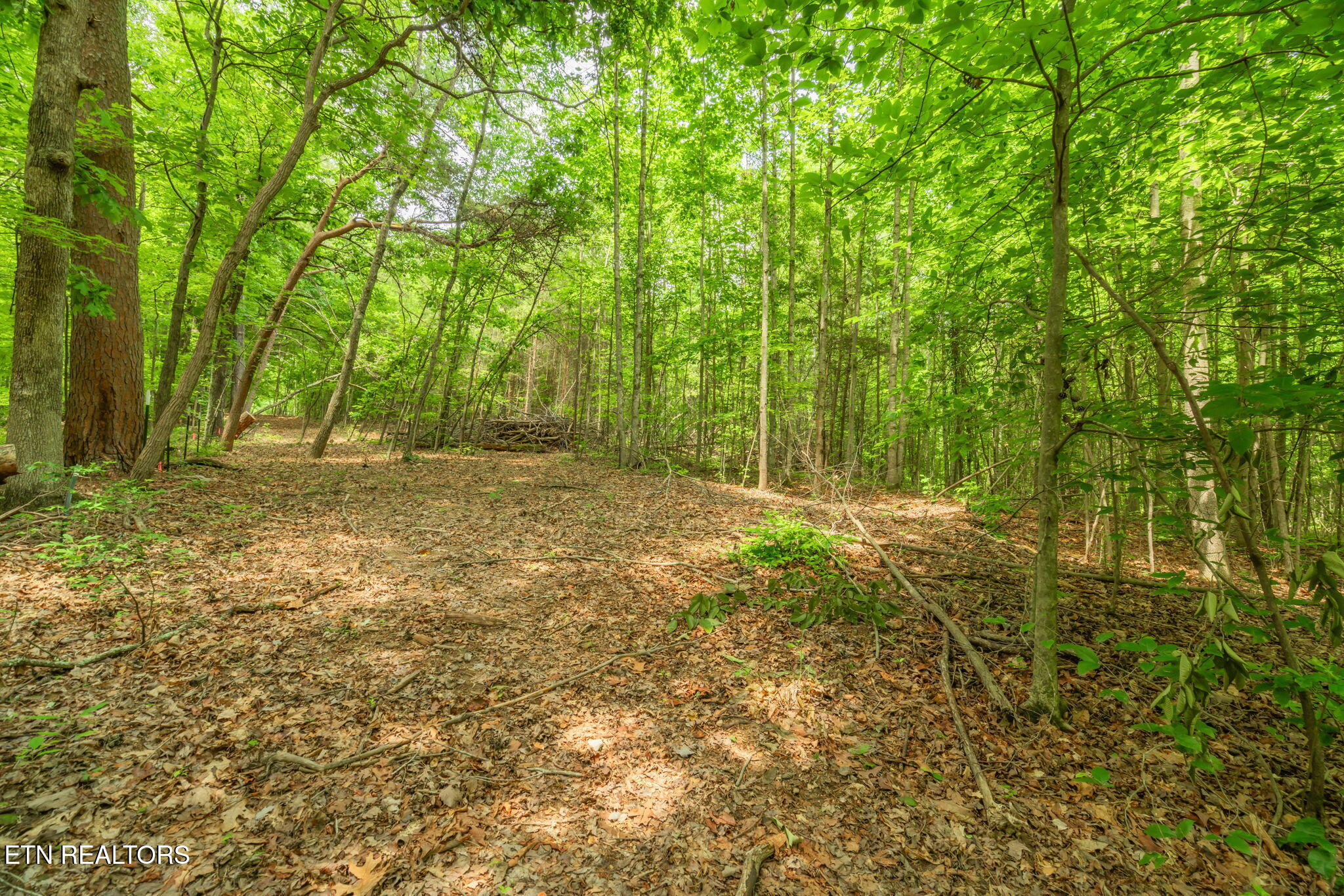2 Black Oak Road Clinton, TN 37716 - Photo 8 of 16 14-web-or-mls-Black Oak Road Land-15