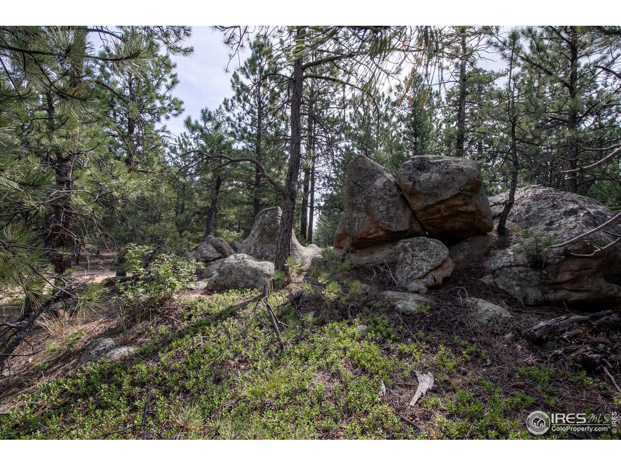 6102 Flagstaff Road Boulder, CO 80302 - Photo 8 of 18 Gallery Image 8