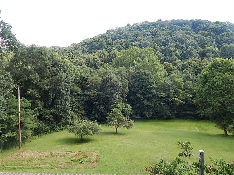 379 Chicken Bone Road Confluence, PA 15424 - Photo 3 of 25 Gallery Image 3