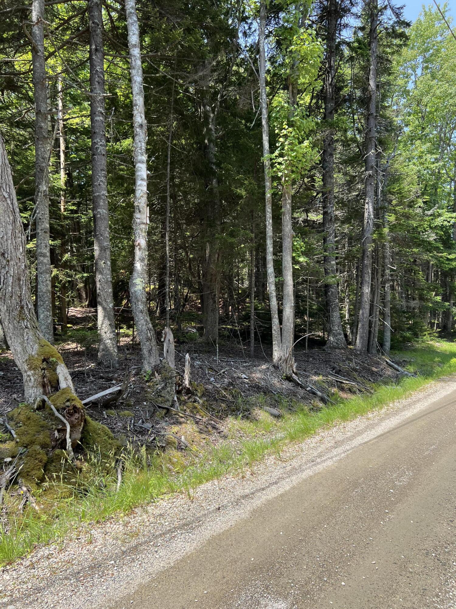 45 Goose Pond Road Swans Island, ME 04685 - Photo 8 of 44 Beautiful Island Lot for Sale