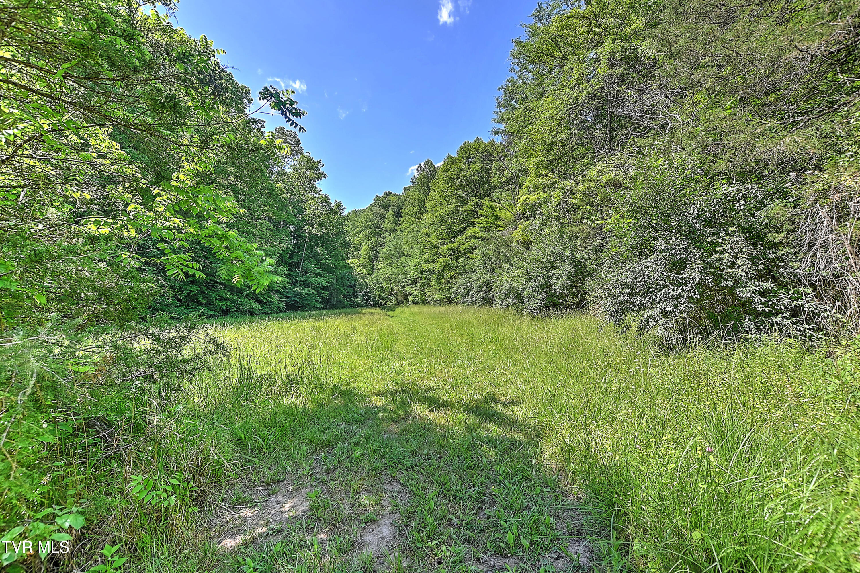 3388 Flower Gap Road Blackwater, VA 24221 - Photo 139 of 161 3388 Flower Gap Rd DS-140