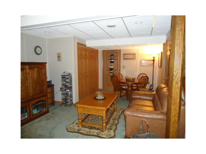 5026 Julia McKees Rocks, PA 15136 - Photo 15 of 18 Den/Family/Great Room. Basement Finished Gameroom