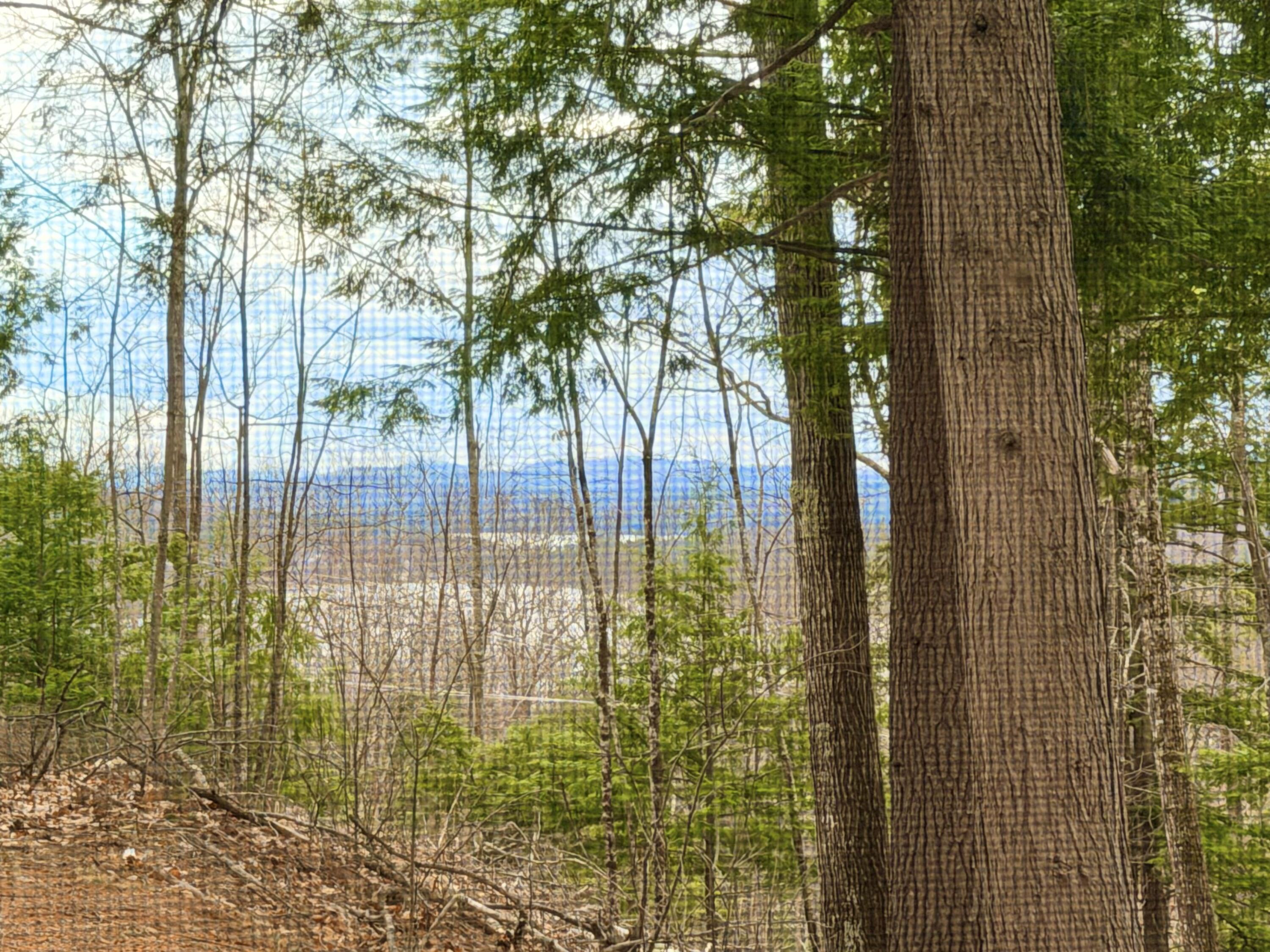 190 Deer Hill Road Harrison, ME 04040 - Photo 23 of 57 Lake View from porch