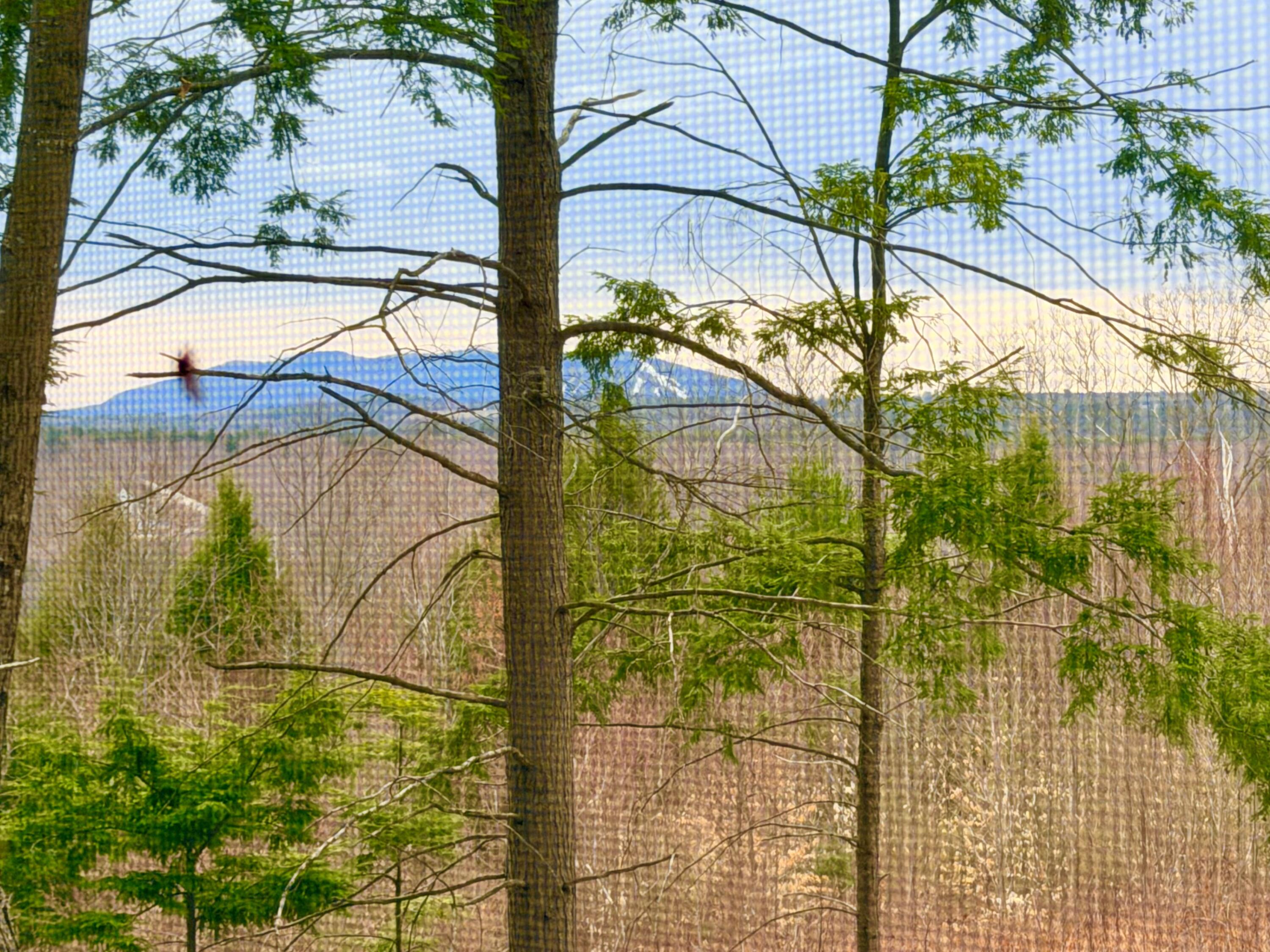 190 Deer Hill Road Harrison, ME 04040 - Photo 46 of 57 Second floor views