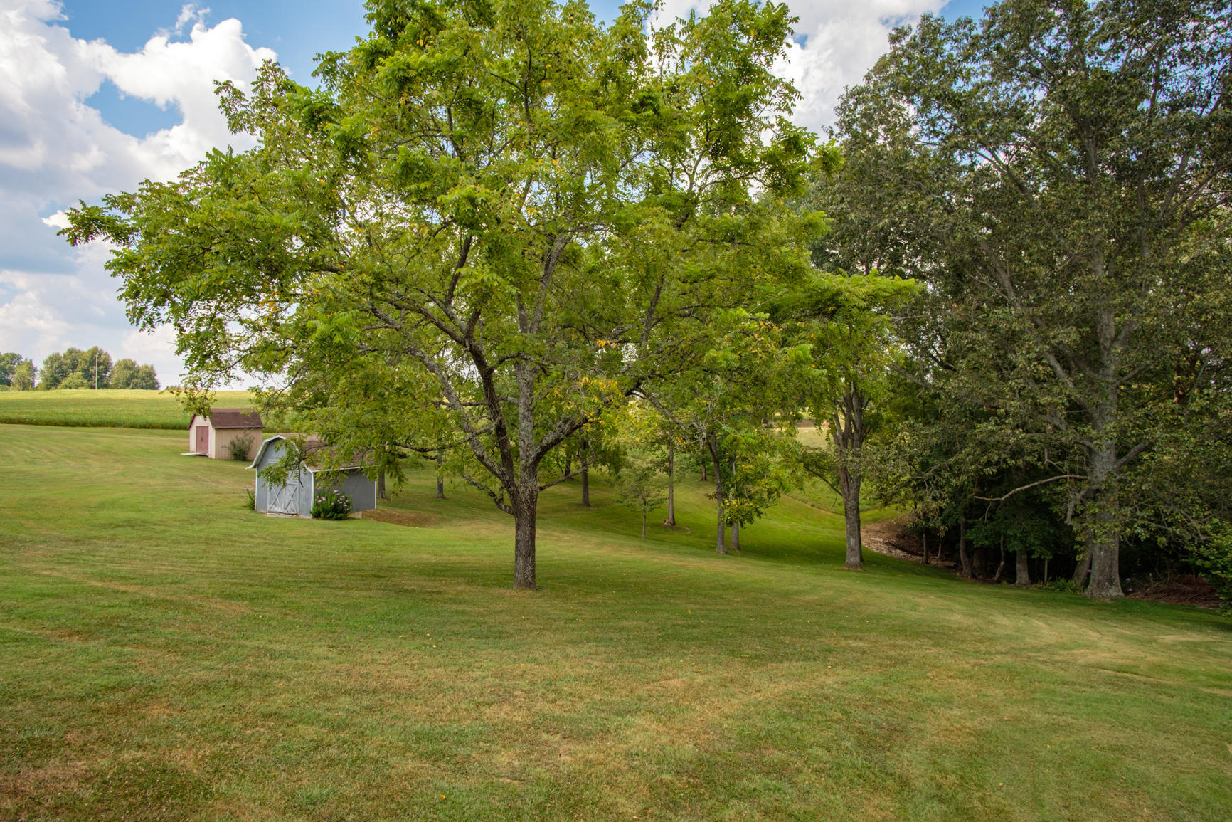 4212 Hickory Nut Road Nancy, KY 42544 - Photo 58 of 62 kxtb1810
