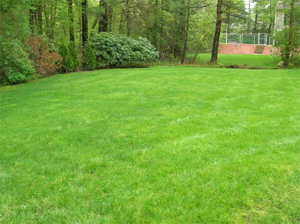 19 Edgemere Road Lynnfield, MA 01940 - Photo 17 of 19 Gallery Image 17
