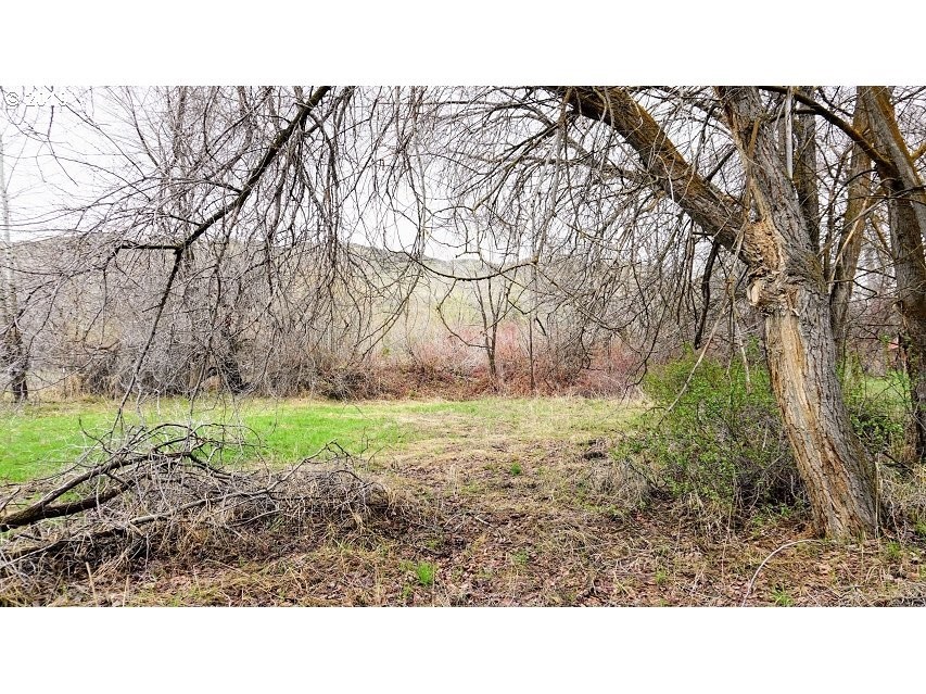 373 Craig Road Naches, WA 98937 - Photo 1 of 15
