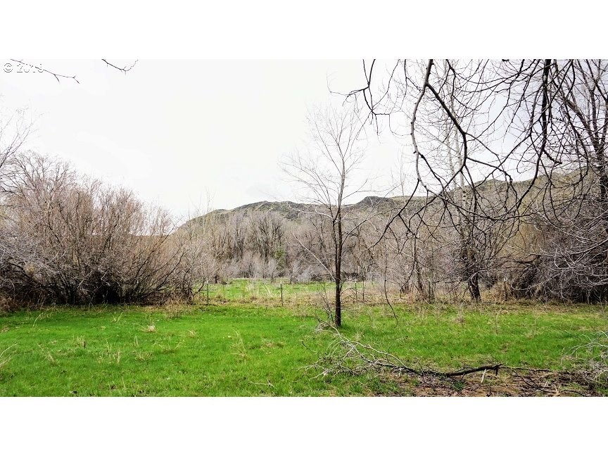 373 Craig Road Naches, WA 98937 - Photo 2 of 15