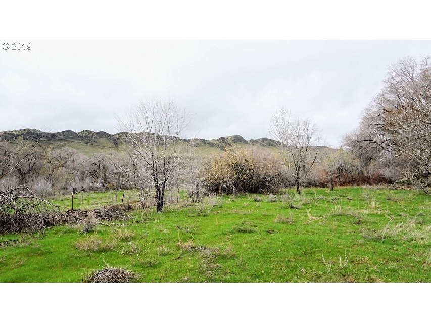 373 Craig Road Naches, WA 98937 - Photo 9 of 15