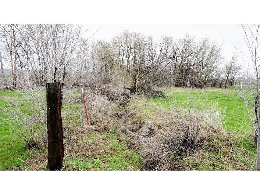 373 Craig Road Naches, WA 98937 - Photo 10 of 15