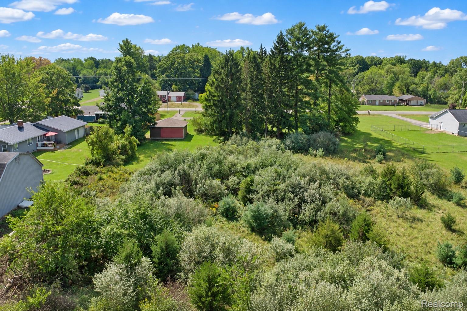 2432 Farrand Road Clio, MI 48420 - Photo 24 of 27 Expansive lot featuring a mix of mature trees and open grassy areas